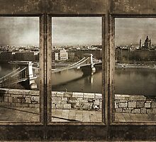 Homesick by Rozalia Toth