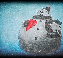 Frosty Mania by Denise Abé