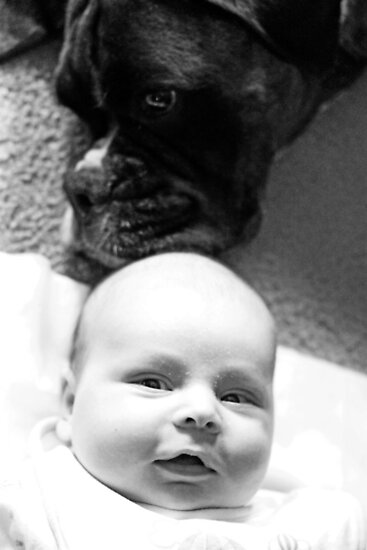 boxer and baby