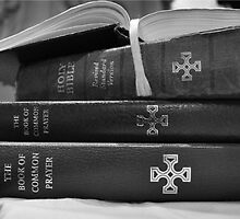 Bible -Borrowed Words by lisardoherty