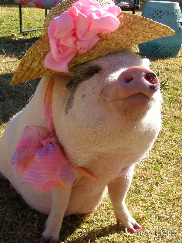 “Easter Hat Pig” by Aimee Takaha | Redbubble
