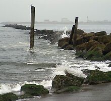 Damon Point State Park, Ocean Shores, Washington by Loisb