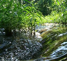 Flowing Creek~ by virginian