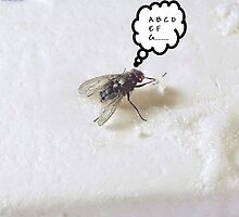 Prevent the Flu Fly by lindabeth
