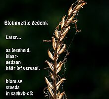 Blommetjie gedenk by Rina Greeff