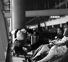 In transit ... by Ell-on-Wheels