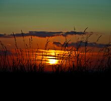 The Hope That Ends Disaster by Denise Abé