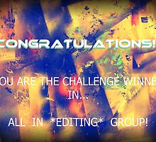 TEMP banner for All In *Editing* group. for Challenge winner by linmarie
