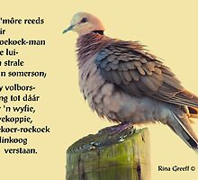 Die roekoek-man by Rina Greeff