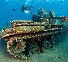 The Tank by Tobias Friedrich