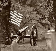 Sherman's Cannon by Chad Wilkins