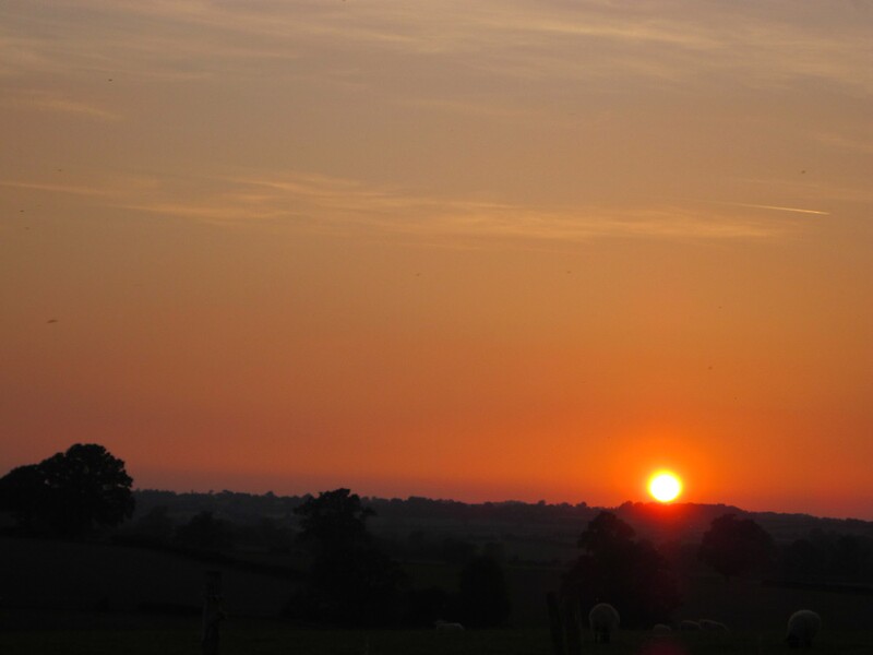 quot sunset quot by lucycat redbubble quot sunset quot by lucycat redbubble
