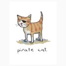 Pirate Cat by Bethan Matthews