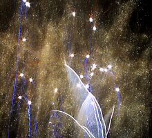 Fireworks New years eve by Toni Fuller