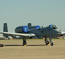 A-10 Grounded by stratus1