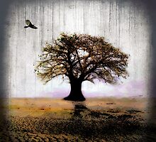 Desolate II by Gal Lo Leggio
