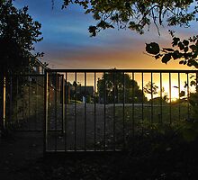 Just Down the Path from our House by relayer51