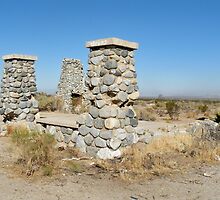 Ruins of commune Llano del Rio by Martha Sherman