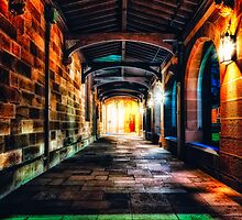 Hallowed Falls of Learning by Jason Hilsdon