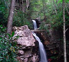 Gentry Creek Falls by Annlynn Ward