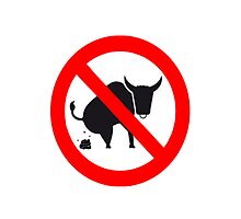 No Bull by Steven Filiatrault