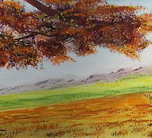 High Country Meadow by Jack G Brauer
