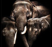 family affair by ArtX