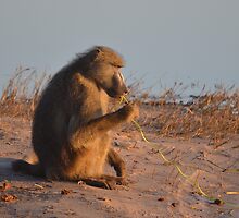 Breakfast at the riverside by AndyKanzi