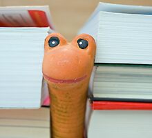 Another bookworm by Mark Humphreys