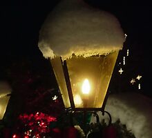 Gardens by Lamplight by AnnDixon