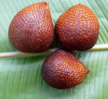 Snake eggs: best eaten raw................ by supergold