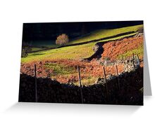 Last Light - Langdale - The Lake District Greeting Card