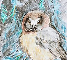 Northern Saw-whet Owl in a Blue Spruce by Sally O'Dell