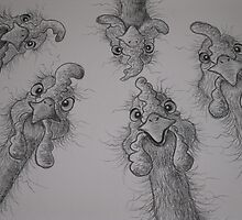 " Chookin' Lookin' " by Sally Ford