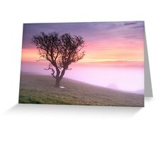 Misty Sunrise, near Kendal, Cumbria Greeting Card