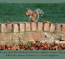 ~ My Precious ~ a collaboration with John Dunbar by Donna Keevers Driver
