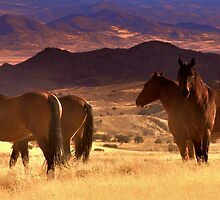 Tribal Lands and Wild Horses by Jeanne Nations
