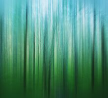 In Between Day and Night by Denise Abé