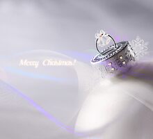 Merry Christmas! by vicdives