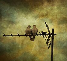 Bill and Coo by inkedsandra
