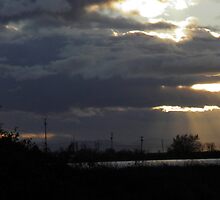 Wind Warning on a November Eve by Lesliebc