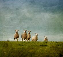 Sheep on the Hill by Jill Ferry