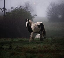 Through The Mist by Ladymoose