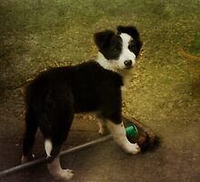 I'm ony helping to sweep the path -- I'm not chewing the broom -honest mum by hampshirelady