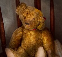 Toy - Teddy Bear - My Teddy Bear by Mike Savad