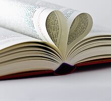 Heart Book by Gert Lavsen