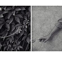 .... by ptica