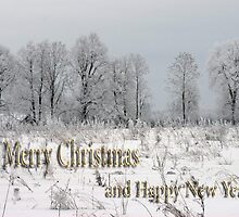 Merry Christmas & Happy New Year by Antanas
