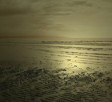 ANOTHER YEAR OVER AND WHAT HAVE WE LEARNED by leonie7