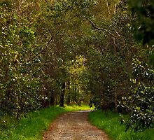 The Road less Travelled by Sea-Change